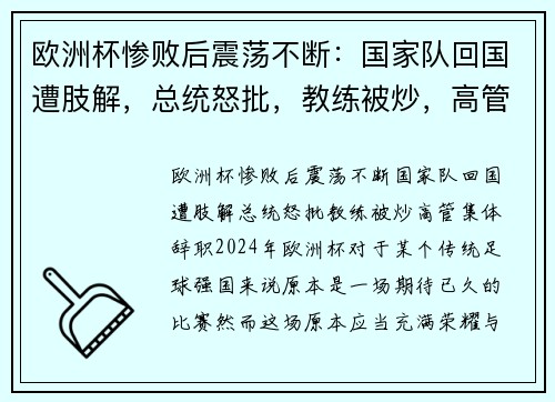 欧洲杯惨败后震荡不断：国家队回国遭肢解，总统怒批，教练被炒，高管集体辞职