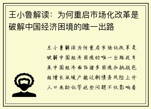 王小鲁解读：为何重启市场化改革是破解中国经济困境的唯一出路