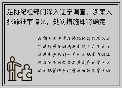 足协纪检部门深入辽宁调查，涉案人犯罪细节曝光，处罚措施即将确定