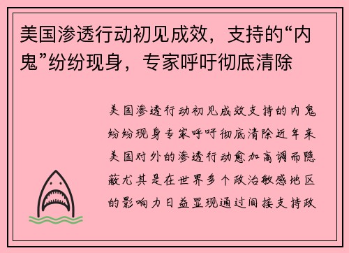 美国渗透行动初见成效，支持的“内鬼”纷纷现身，专家呼吁彻底清除