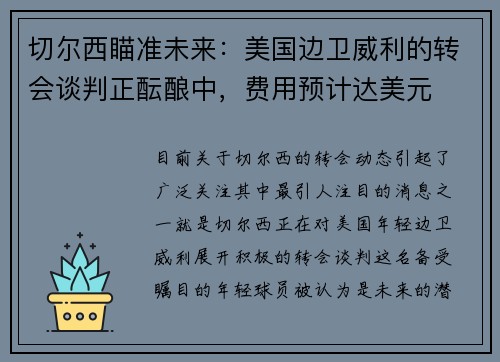 切尔西瞄准未来：美国边卫威利的转会谈判正酝酿中，费用预计达美元